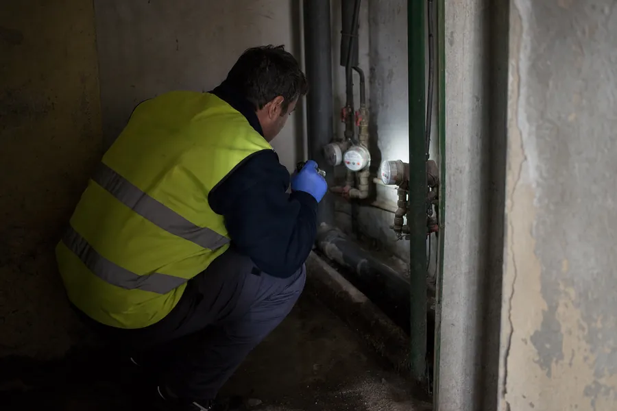 Inspección y diagnóstico previo — control de plagas en Sant Feliu de Llobregat