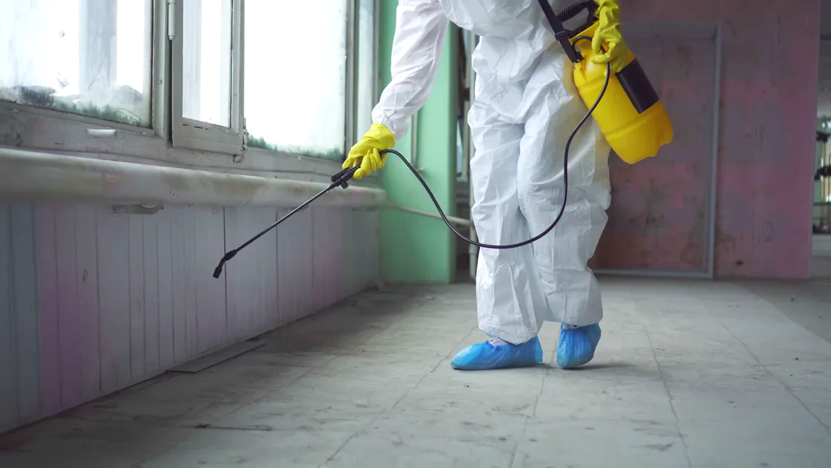 Tratamiento de ratones en Sant Feliu de Llobregat — Fumtech