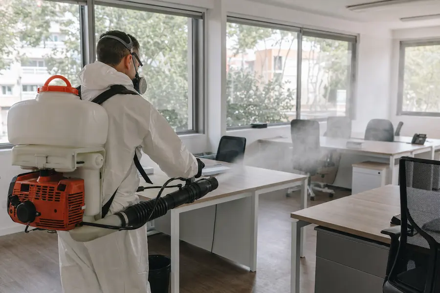 ¿Es seguro fumigar con niños y mascotas en casa?