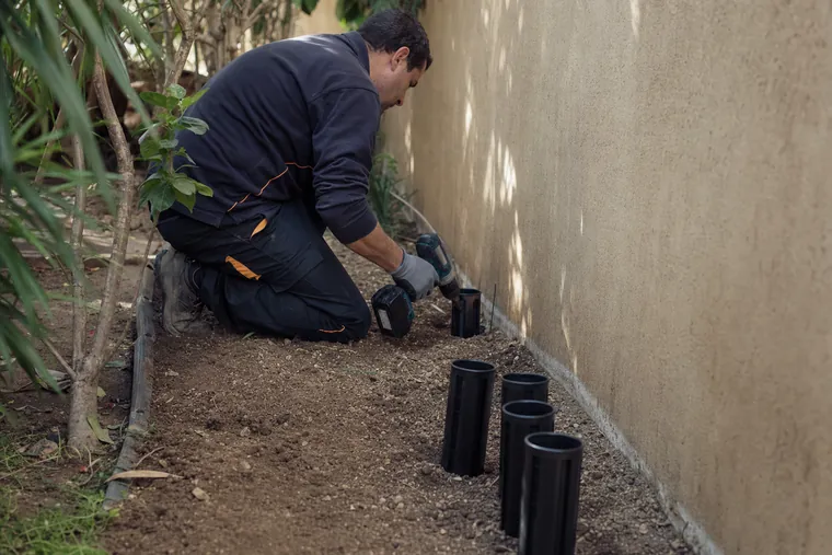 Tratamiento antitermitas en Sant Feliu de Llobregat